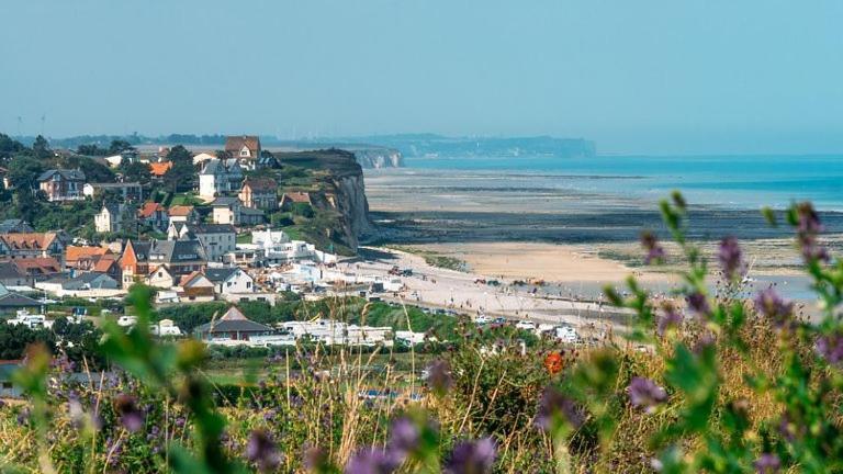 Le Petit Gite De La Roseraie Quiberville Extérieur photo